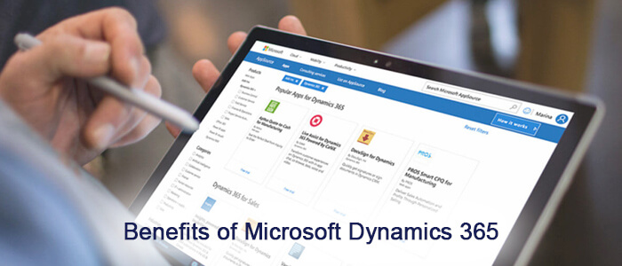 Key Improvements and Benefits of Microsoft Dynamics 365 Partners