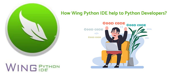 wing python IDE
