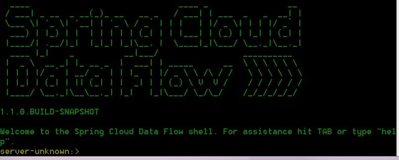 port 9393 the shell automatically connect