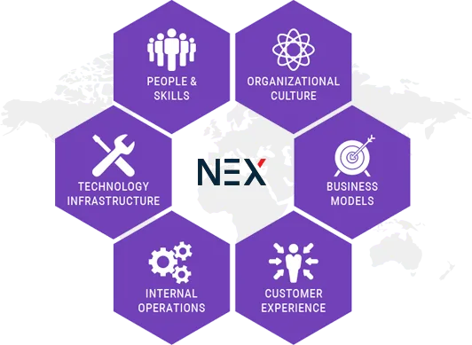 Offshore Software Development