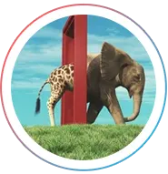 Streamline Your Finances