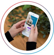 Flexibility for Complex