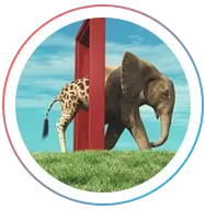 Application Migration and Upgrades